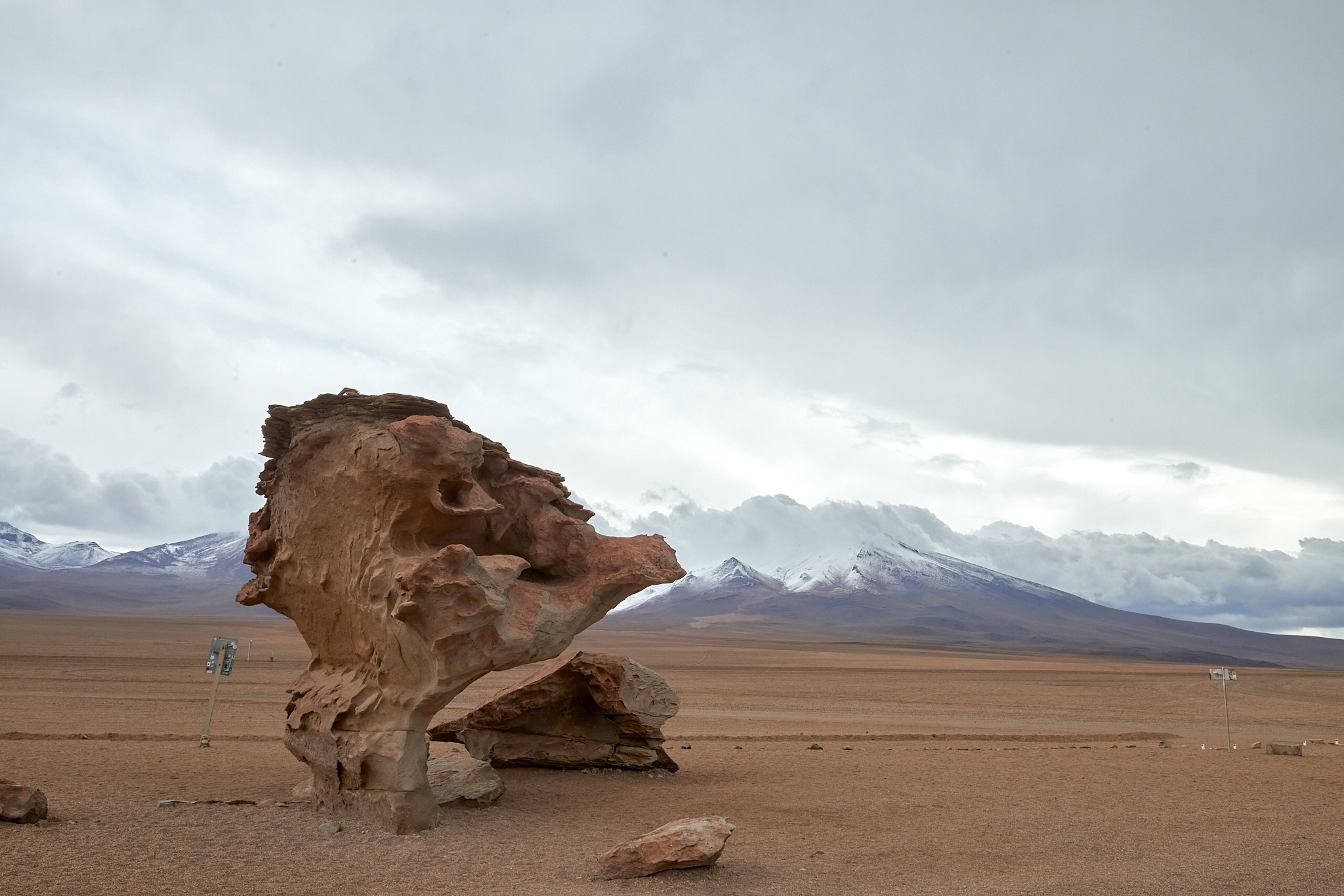 20200313 516 [볼리비아] 아르볼 데 삐에드라 돌 나무